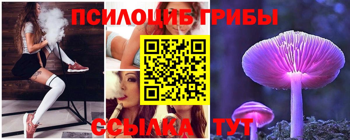 как найти   Галлюциногенные грибы Psilocybine cubensis  Вход с VPN  Реж 