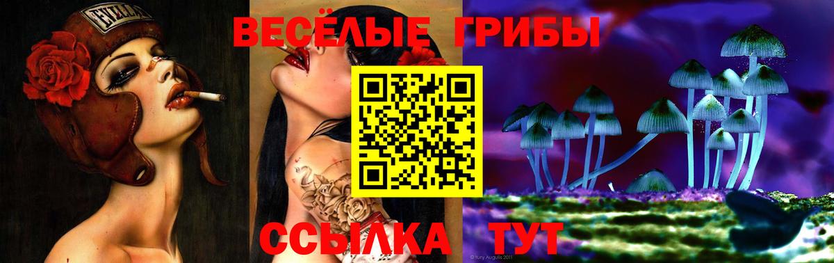 Псилоцибиновые грибы Magic Shrooms Реж